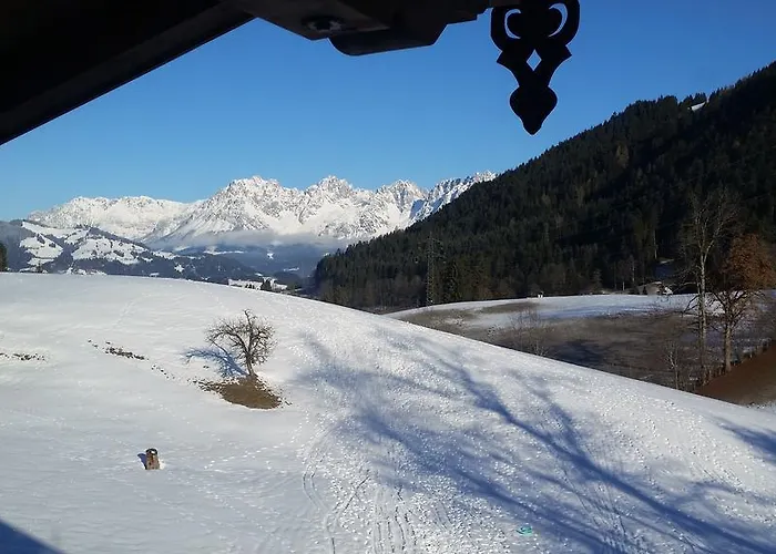 Berger Апартаменты *