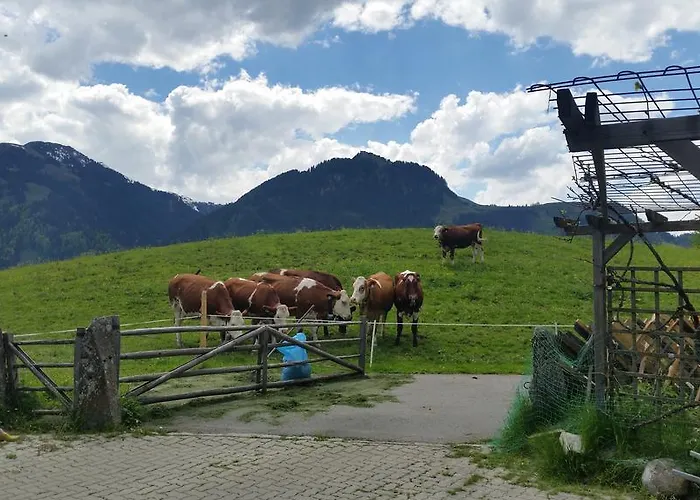 Διαμέρισμα Berger *