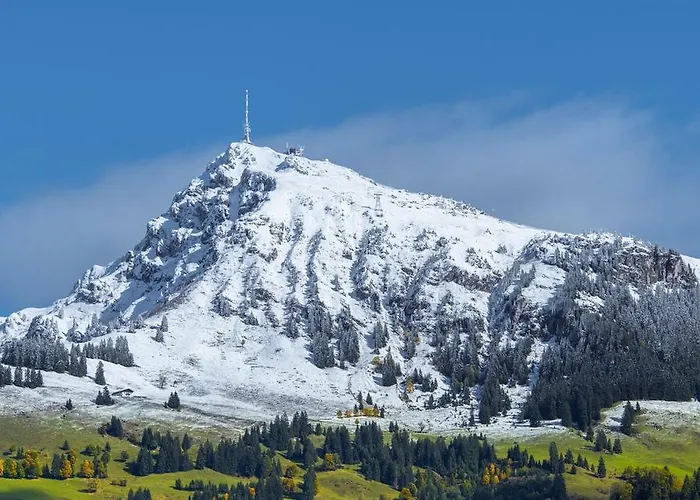 Διαμέρισμα Berger